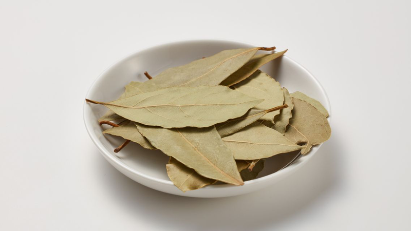 Lá nguyệt quế có nhiều lợi ích cho sức khỏe hơn những gì chúng ta nghĩ