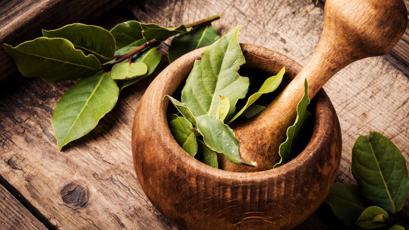 Có thể dùng lá nguyệt quế để tạo hương vị đặc trưng cho nhiều món ngon