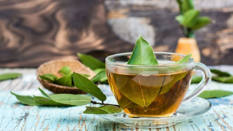 Lá nguyệt quế có thể dùng để nấu ăn, hỗ trợ thư giãn và chăm sóc sức khỏe