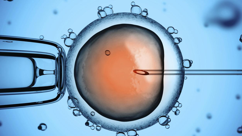 Làm IVF ở đâu tốt nhất? 3 địa chỉ hàng đầu ở TPHCM 1