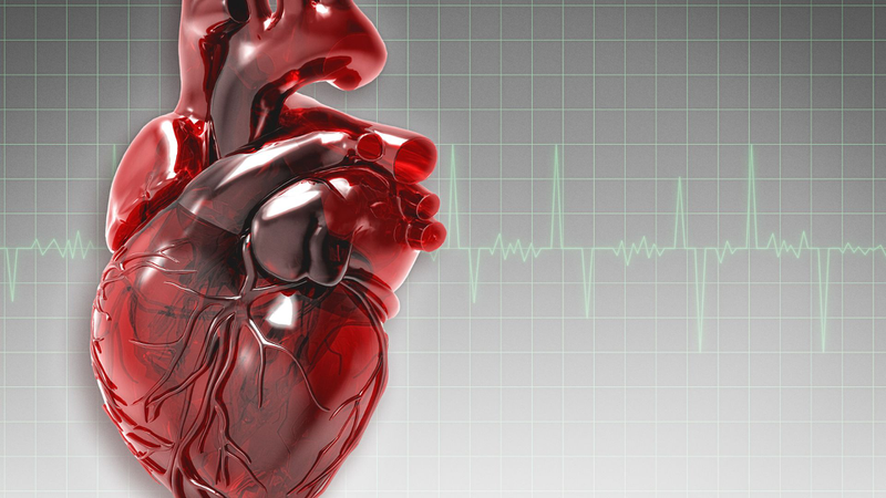 Lipid toàn phần​ là gì? Các yếu tố ảnh hưởng đến kết quả xét nghiệm lipid toàn phần 1