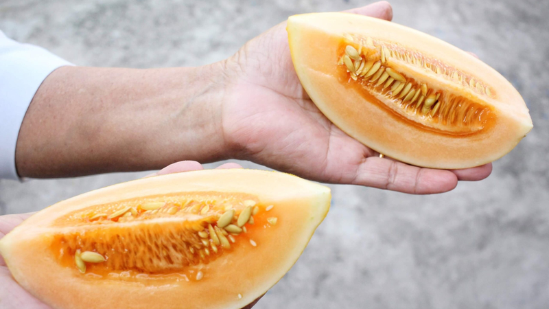 Lợi ích bất ngờ của dưa lưới hoàng kim​ với sức khỏe 4