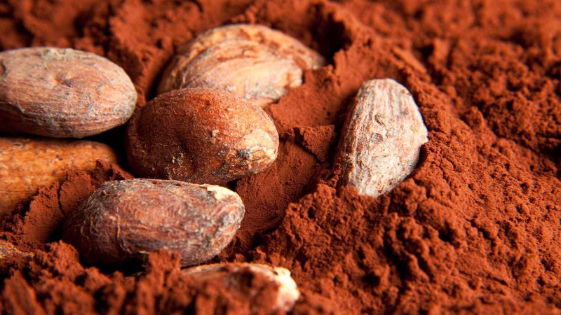 Những điều cần biết về cacao thô: Lợi ích và tác dụng phụ tiềm ẩn 2