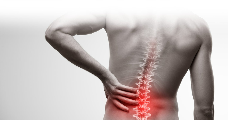 Lumbar là gì? Đặc điểm của lumbar3