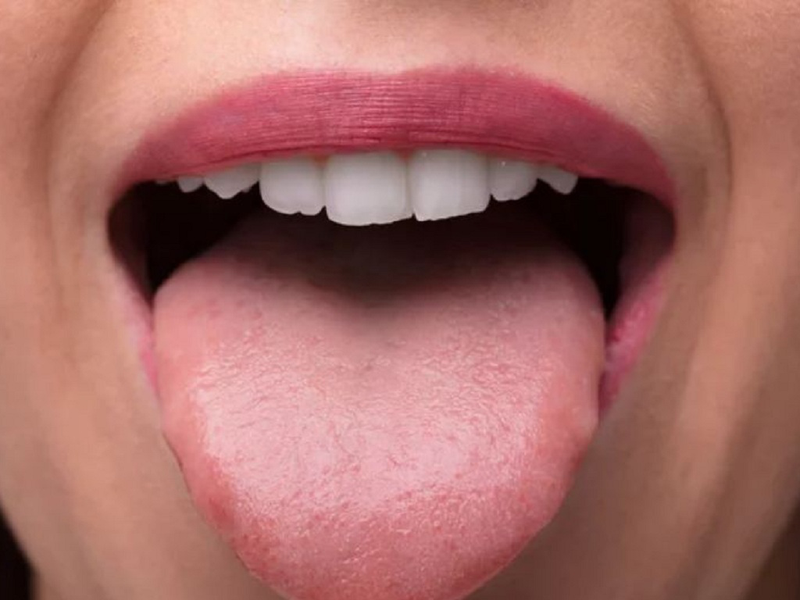 Lưỡi không chỉ tham gia vào quá trình tiêu hóa thức ăn mà còn cảm nhận vị giác, hỗ trợ quá trình nhai, nuốt