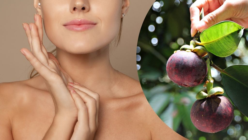 Măng cụt: Ăn chúng có lợi gì cho sức khỏe? 3
