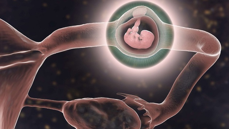 Mang thai ngoài tử cung thử que có lên vạch không? 1