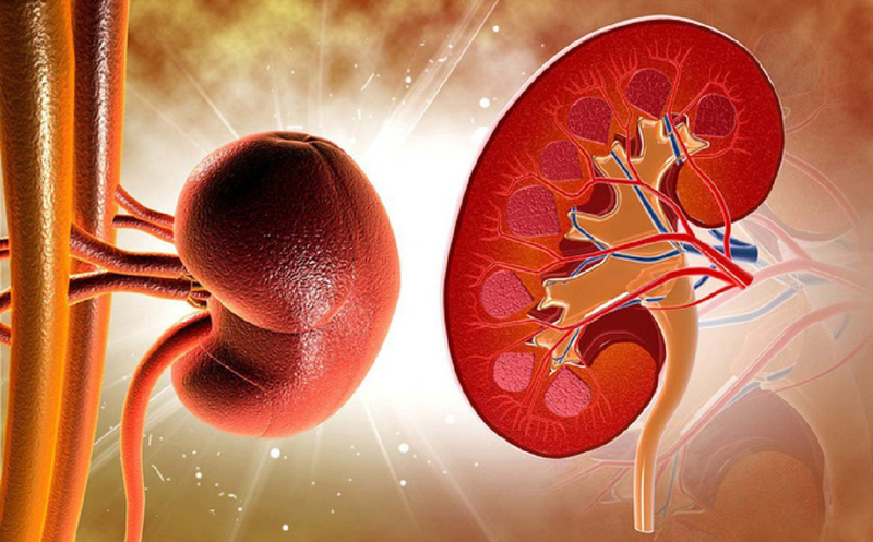 Mắt người suy thận sẽ có những vấn đề gì? 1