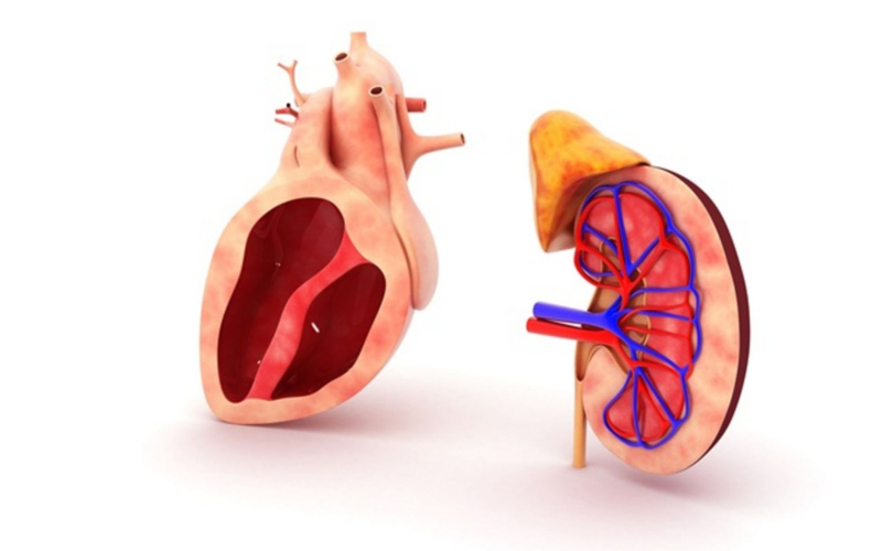 Mắt người suy thận sẽ có những vấn đề gì? 3