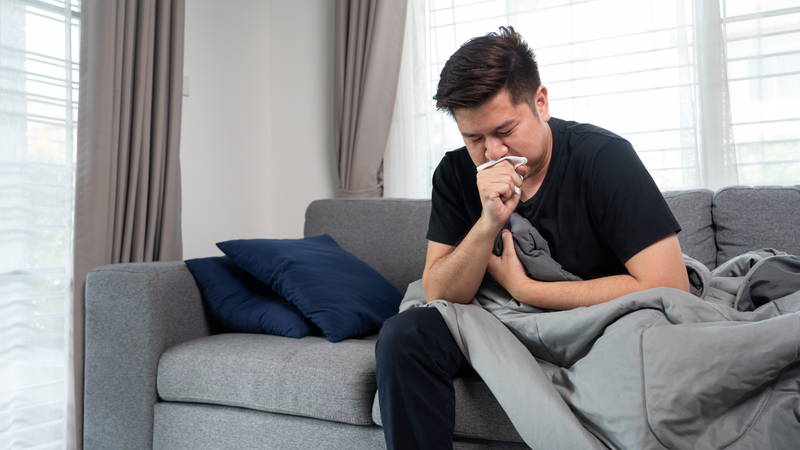 Mật ong ruồi​ có tốt cho sức khỏe không? 3