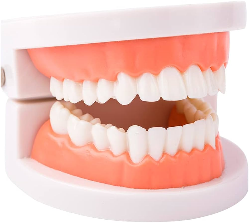 Mất răng có niềng răng được không? Giải pháp tối ưu nhất khi bị mất răng 1