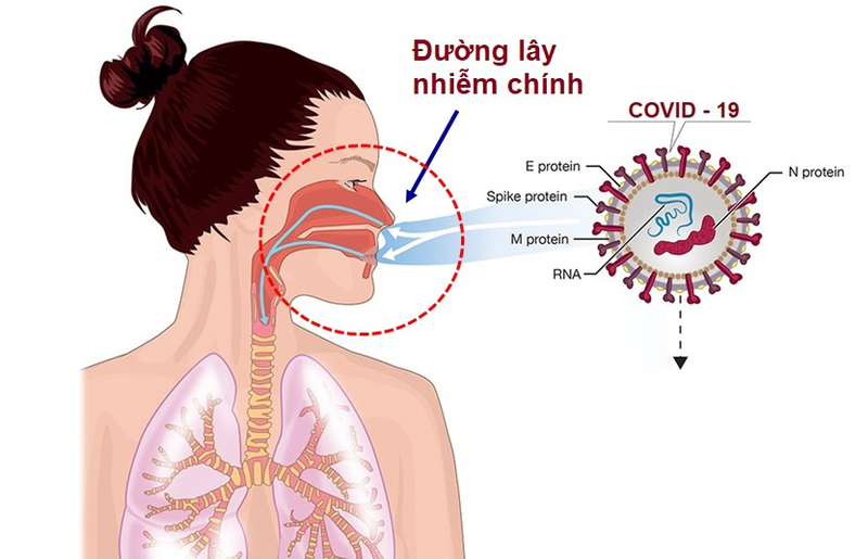 Covid-19 mất vị giác bao lâu thì âm tính? Làm thế nào để nhanh âm tính 1