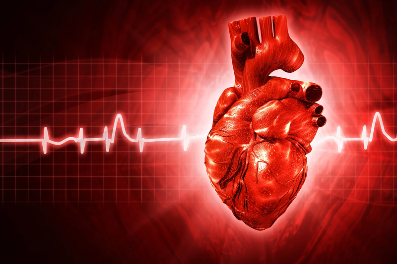 Máy tạo nhịp tim vĩnh viễn: Theo dõi nhịp tim tự động như bác sĩ 2