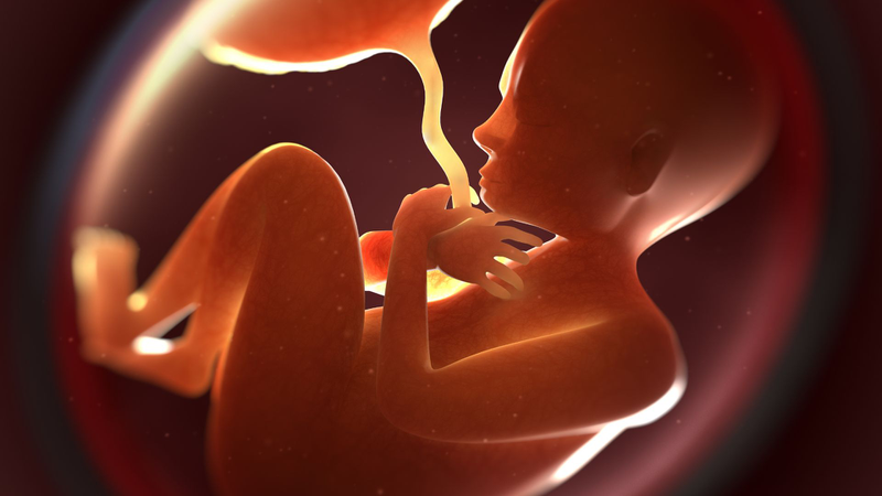 Mẹ bầu ăn váng sữa có tốt không? Lợi ích từ váng sữa với mẹ bầu là gì? 2