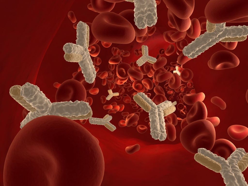 Methemoglobin huyết: Cơ chế gây bệnh, nguyên nhân và triệu chứng bệnh mà bạn nên biết 1