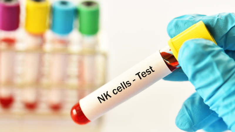 Mục đích của xét nghiệm NK trước chuyển phôi là gì? Quy trình thực hiện và một số lưu ý cần biết 1