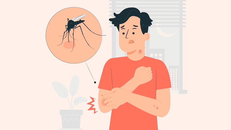 Muỗi sống được bao lâu? Gây ra những bệnh nguy hiểm nào? 03