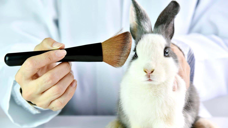 Mỹ phẩm cruelty-free là gì? 3 chứng nhận đạt chuẩn cruelty-free của sản phẩm 1