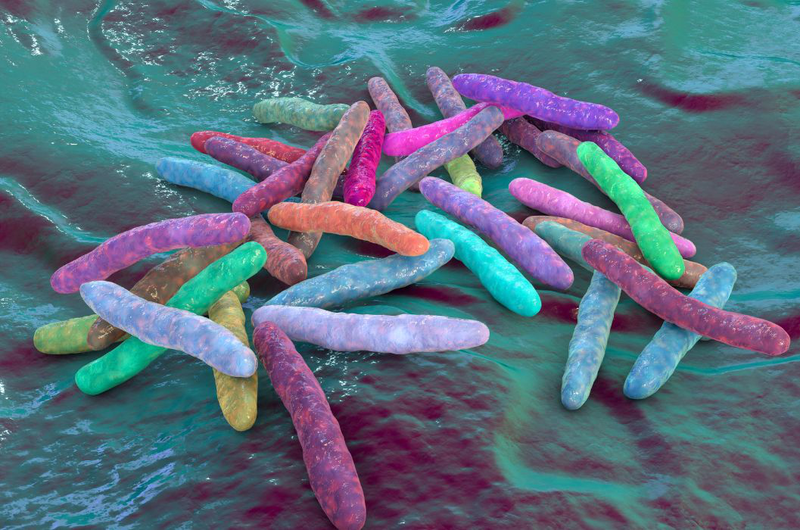 Nhiễm trùng Mycobacteria là gì? Có phải lao phổi không 1