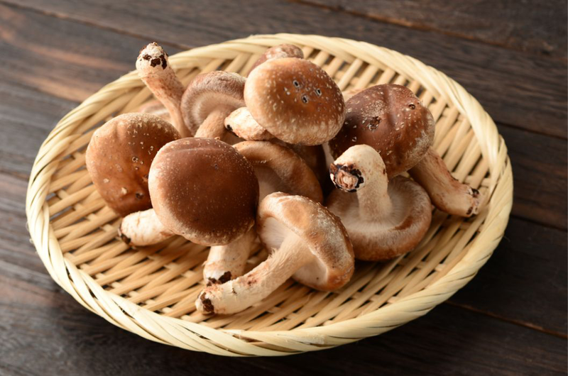 Nấm shiitake là nấm gì và có tác dụng gì với sức khỏe 1