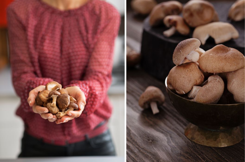 Nấm shiitake là nấm gì và có tác dụng gì với sức khỏe 3