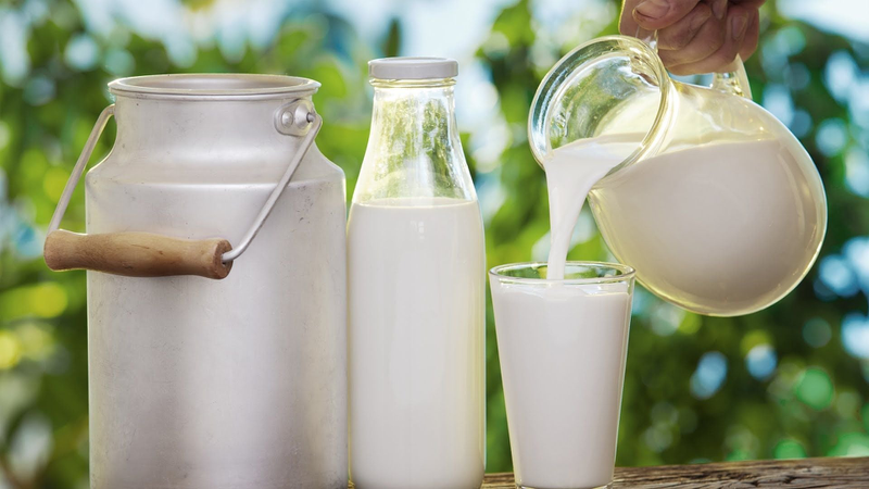 Người già nên uống sữa gì? Sữa tươi hay sữa bột? 2