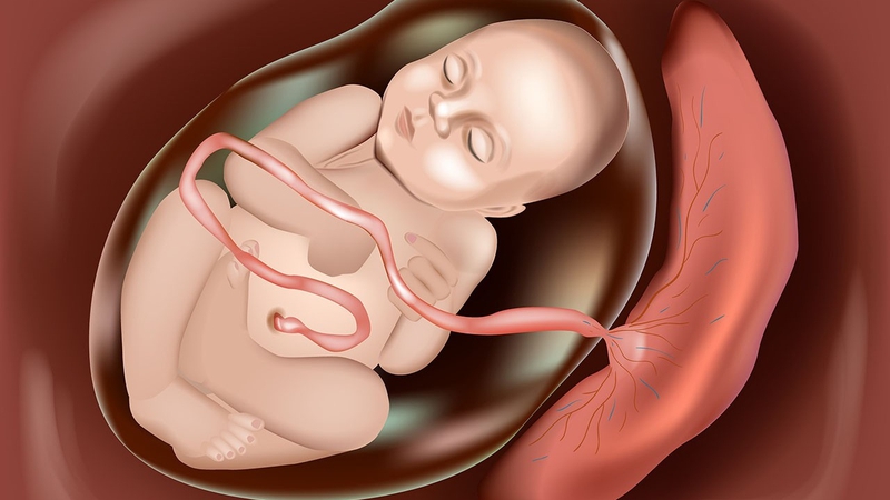 Nhau thai bám thấp có sinh thường được không? 1