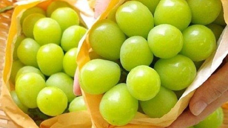 Nho mẫu đơn - Điểm danh những lợi ích "vàng" khi sử dụng 4
