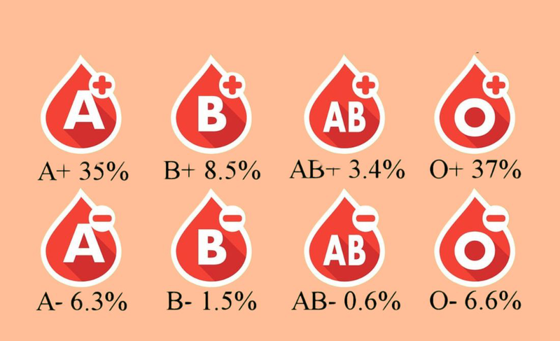 Nhóm máu nào là nhóm máu hiếm nhất? Rủi ro khi có nhóm máu hiếm 3