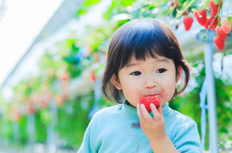 Ăn dâu tây có tác dụng gì? Những ai không nên ăn dâu tây 2