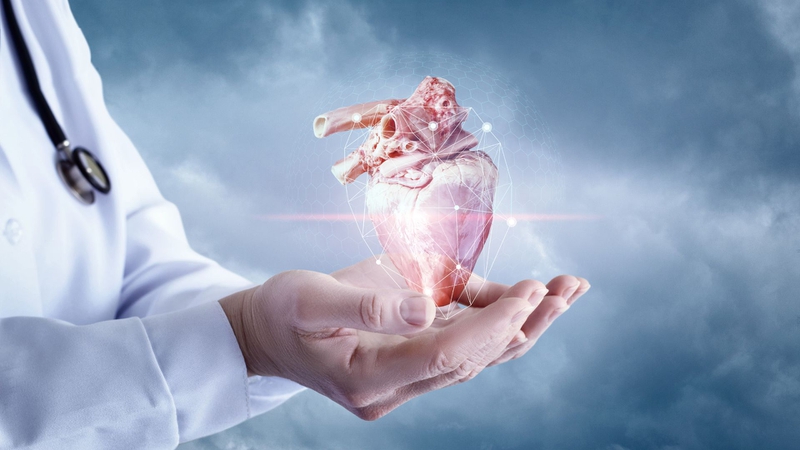 Những ai không nên uống hoa đu đủ đực ngâm mật ong và lưu ý khi sử dụng 2