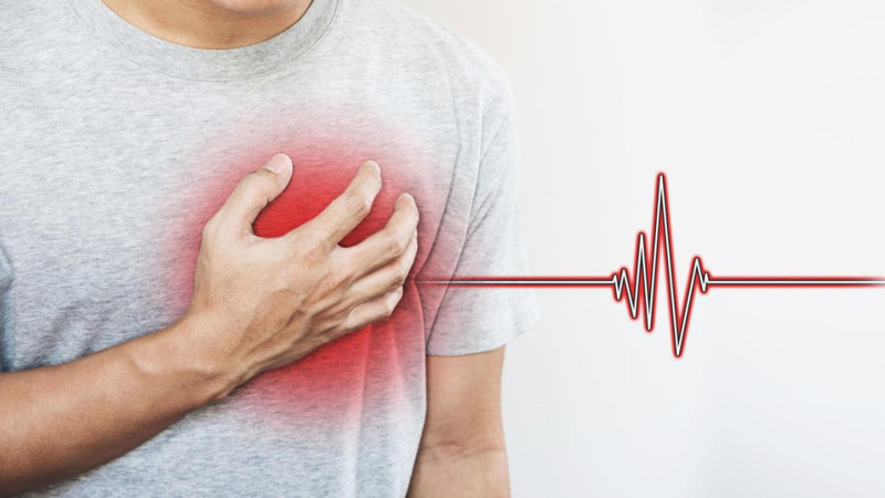 Những cây thuốc nam chữa bệnh hở van tim cực kỳ hiệu quả và an toàn 2
