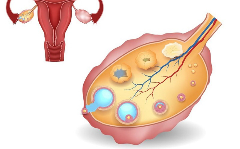 Những dấu hiệu có thai sau khi hết kinh ở nữ giới mà bạn nên biết 2