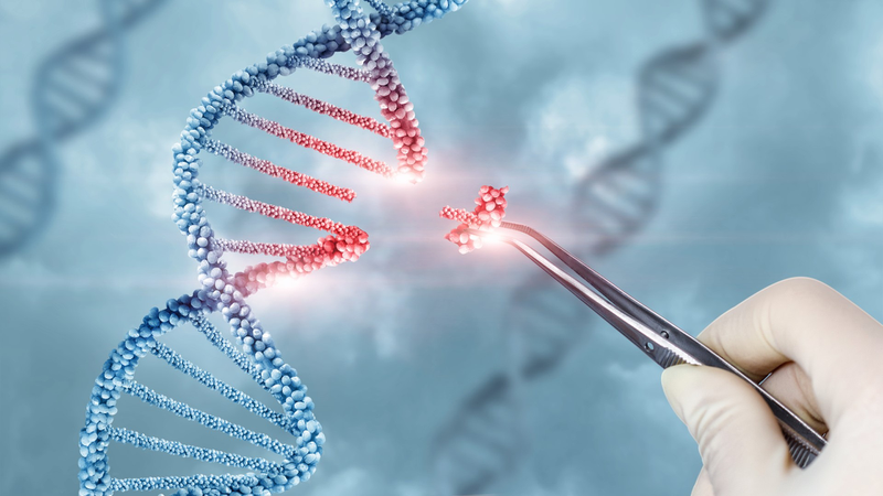 Những điều bạn cần biết về liệu pháp gen (Gene Therapy) 1