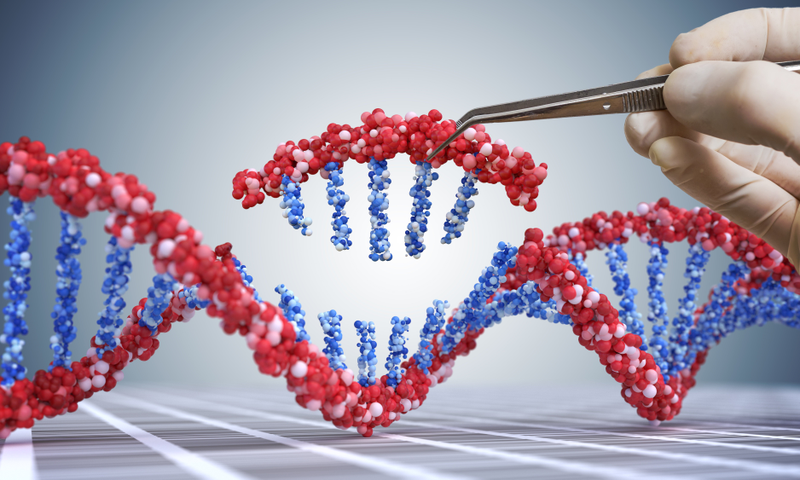 Những điều bạn cần biết về liệu pháp gen (Gene Therapy) 2