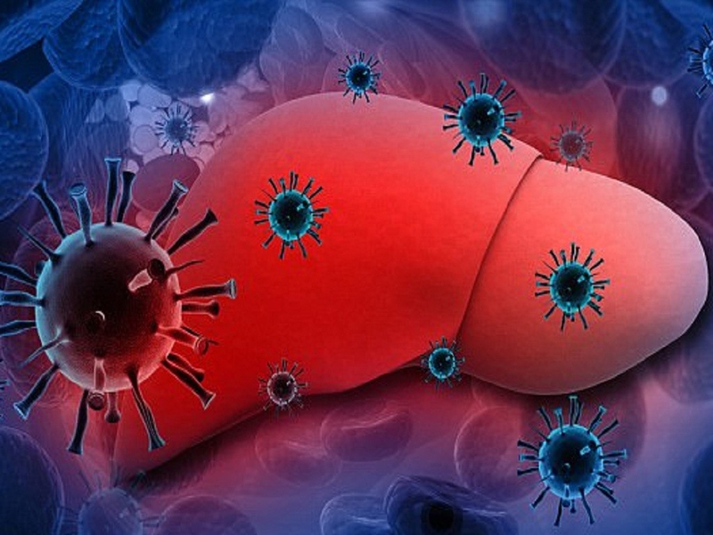 Những điều cần biết về HAV IgM test và căn bệnh truyền nhiễm viêm gan A 1