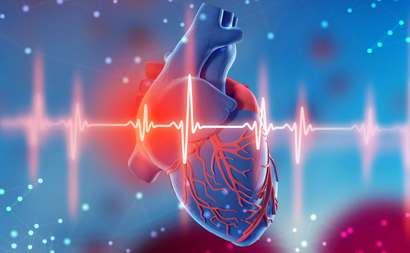 Những loại rối loạn huyết động phổ biến trong sốc tim bạn nên biết 3
