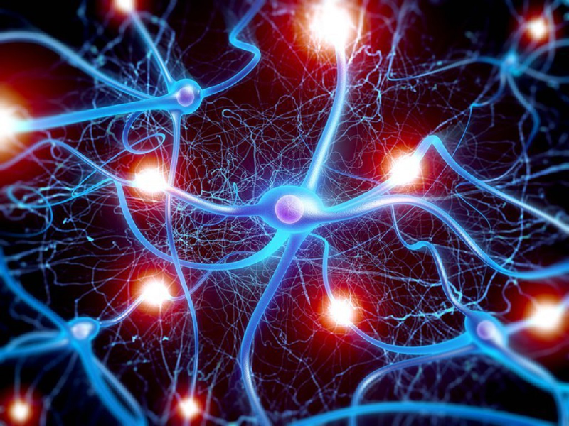 Những thông tin cần biết về chất dẫn truyền thần kinh tế bào não 2