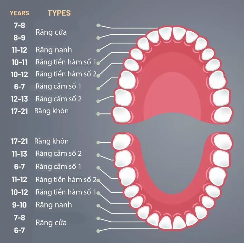 Niềng răng trong suốt có cần nhổ răng không? Lợi ích của Invisalign 2