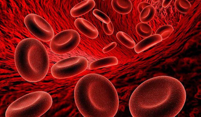 Nồng độ hemoglobin cao có nguy hiểm không: Những điều bạn cần biết 3