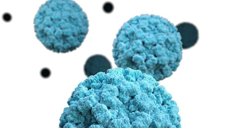 Norovirus lây lan bằng cách nào? Làm sao để phòng bệnh? 1