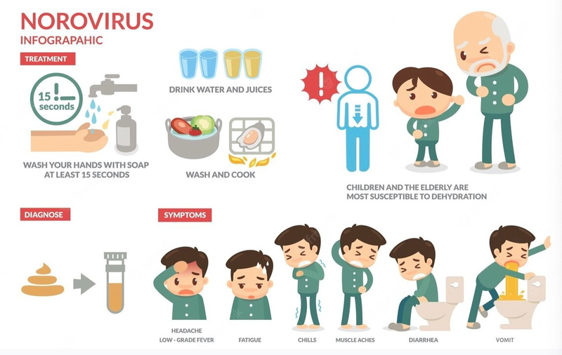 Norovirus lây lan bằng cách nào? Làm sao để phòng bệnh? 3