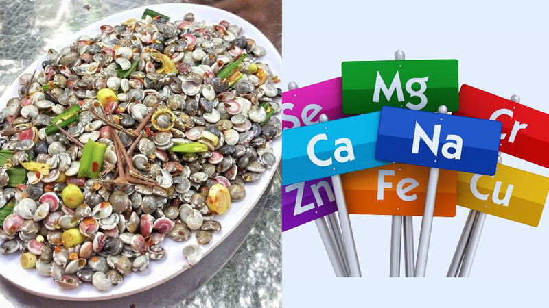 Ốc gạo: Giá trị dinh dưỡng, lưu ý khi ăn 1