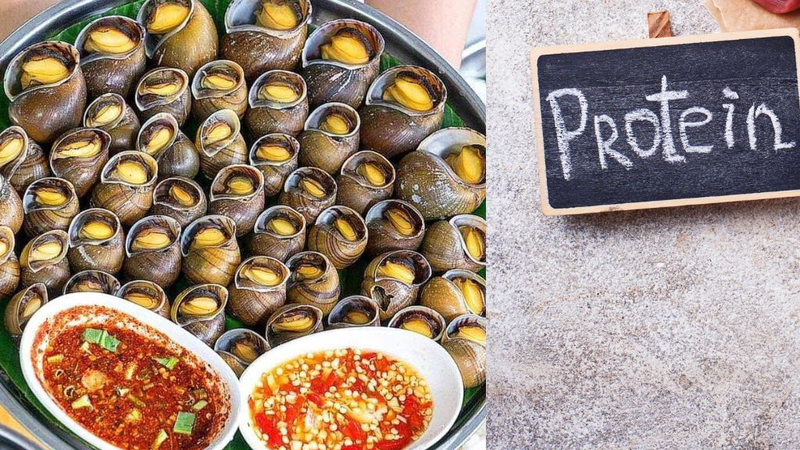 Ốc mít: Giá trị dinh dưỡng, lưu ý khi ăn 3