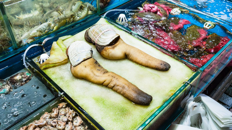 Ốc vòi voi: Giá trị dinh dưỡng và công dụng tuyệt vời với sức khỏe 4