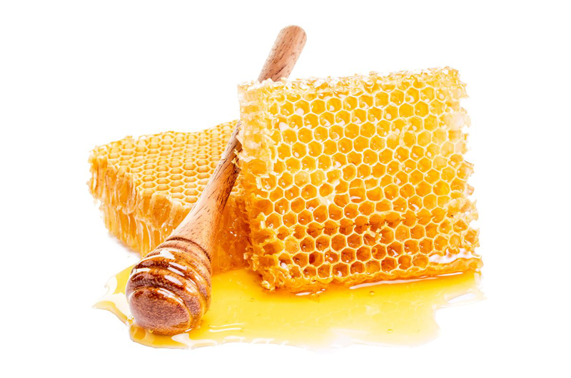Ong ruồi và ong mật: Đặc điểm và công dụng có gì khác nhau 3