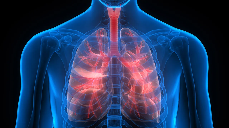 Phác đồ điều trị COPD Bộ y tế 2023-1