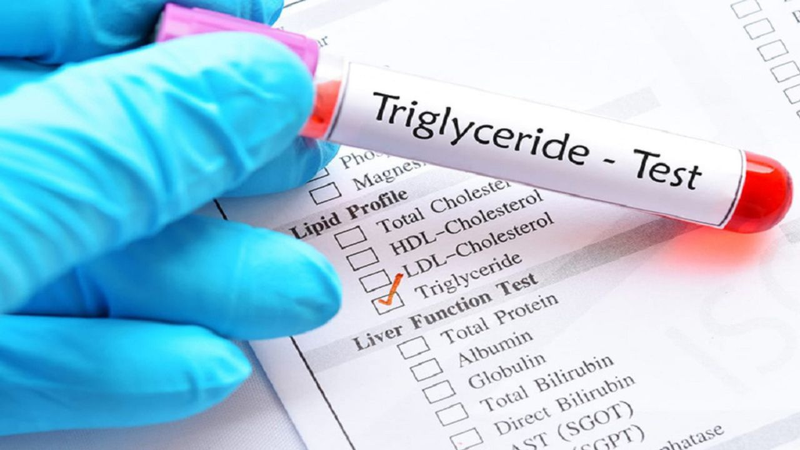 Nguyên nhân gây bệnh và phác đồ điều trị tăng triglyceride 2
