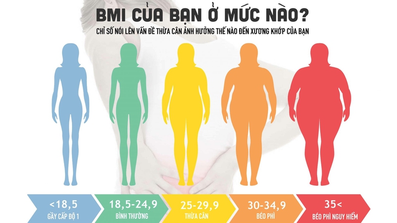 Phân độ béo phì là gì? Có những những cách chia nào 1