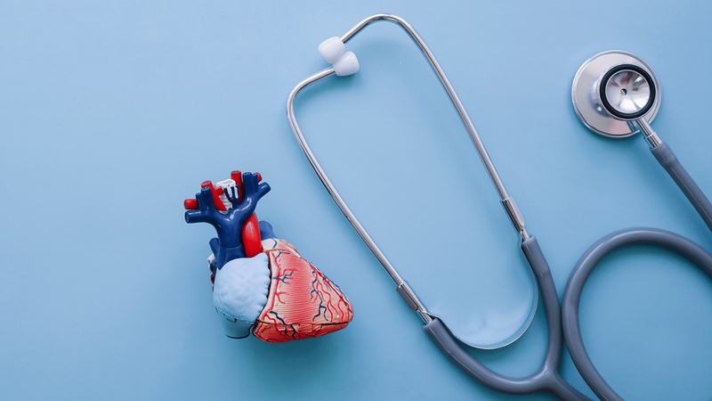 Phương pháp chữa hở van tim bằng đông y có thực sự hiệu quả không? 1